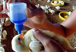 Thêm nhiều điểm dịch mới