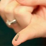 Gắn chip vào chó mèo có tác dụng gì, hoạt động ra sao?