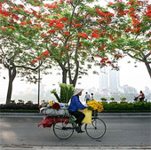 Bộ ảnh tuyệt đẹp về “Hà Nội – Những gánh hàng rong”