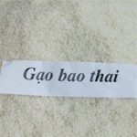 Phục tráng thành công giống lúa Bao thai Chợ Đồn