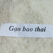 Phục tráng thành công giống lúa Bao thai Chợ Đồn
