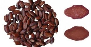 Trung Quốc lai tạo thành công gạo tím phục vụ việc chữa bệnh ung thư
