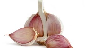 Thực phẩm nào trị mùi hôi tỏi sau ăn tốt nhất?