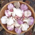 Tại sao tỏi tươi lại cay?