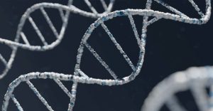 Nghiên cứu mới cho thấy gene của bạn bè bạn có thể ảnh hưởng đến tương lai của bạn
