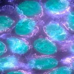 Xác định được các gene đột biến có khả năng gây bệnh ung thư vú