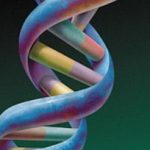 Sống tới 100 là tuổi nhờ gene