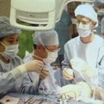 Nhật ghép thành công tế bào gan cho bệnh nhi sơ sinh