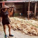 Cảnh báo nguy cơ dịch bệnh bùng phát sau mưa lũ