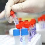 Giải mã gene người Việt để cải tạo giống nòi