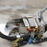 Phát minh giúp con người đi ngược trên trần nhà