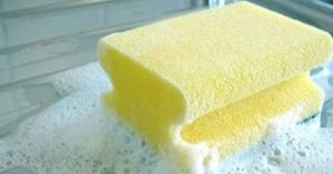 Đây là cách duy nhất loại hết vi khuẩn ở giẻ rửa bát