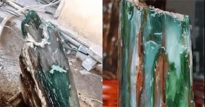 Nhặt khúc gỗ mục ven đường, người đàn ông tròn mắt vì nó biến thành thứ quý như vàng