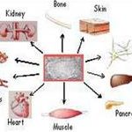 Hội nghị quốc tế về tế bào gốc