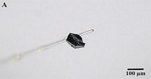 Khoáng vật bí ẩn được phát hiện trong kim cương Nam Phi