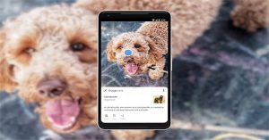 Chỉ “tự học” nhưng AI của Google đã nhận diện được hàng tỷ vật thể