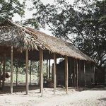 Ảnh màu cực quý về tỉnh Hà Đông năm 1915