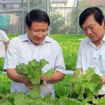 Công nghệ tưới nước Israel về vùng đất khô hạn nhất miền Trung