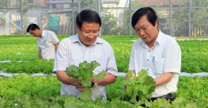 Công nghệ tưới nước Israel về vùng đất khô hạn nhất miền Trung