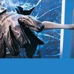 Phần mềm kiểm tra mức độ security của Ứng dụng Web