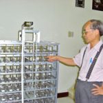 Hầm chứa xe ô tô tự động trong lòng đất
