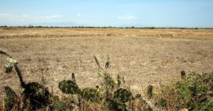 El Nino quay lại, mùa hè nóng và bão mạnh hơn