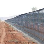 Australia xây hàng rào dài nhất thế giới để ngăn mèo
