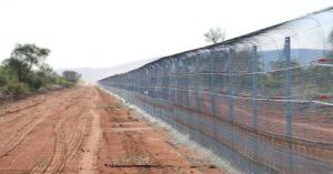 Australia xây hàng rào dài nhất thế giới để ngăn mèo