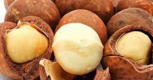 Sự thật về loại hạt nhiều gia đình bày trong khay mứt Tết: Vì sao lại là đắt nhất thế giới?