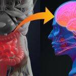 Trí nhớ của hệ thống tiêu hóa giúp chúng ta nhớ rõ nơi mình từng được ăn ngon