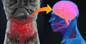 Trí nhớ của hệ thống tiêu hóa giúp chúng ta nhớ rõ nơi mình từng được ăn ngon