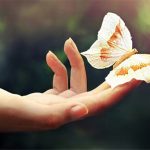 “Hiệu ứng cánh bướm” là sai, các nhà khoa học đã chứng minh được điều này ở cấp độ lượng tử