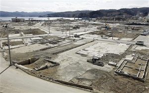 Sự sống hồi sinh trên “vùng đất chết” Fukushima