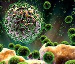 Tìm ra cơ chế duy trì sự lây nhiễm của virus HIV