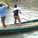 Hổ dữ lao ra tấn công người dân và diễn biến gay cấn phía sau