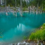 Khu rừng dưới nước tuyệt đẹp ở Kazakhstan