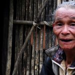 “Người rừng mới” 20 năm sống đơn độc giữa rừng sâu