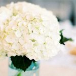 Những loại hoa có độc cần lưu ý khi bày dịp Tết