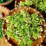 Trong hoa đu đủ đực có chất gì mà được đồn là “diệt tế bào ung thư”?
