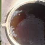 Một trong những luật lệ oái oăm của hoàng đế La Mã: Đánh thuế nước tiểu