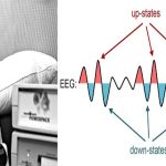 Có thể học ngoại ngữ trong giấc ngủ sâu