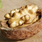 Hồ đào có thể ngăn ngừa ung thư tiền liệt tuyến