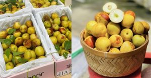 Loại quả là “vua chống lão hóa tự nhiên”, được bán nhiều khắp các chợ: Vừa đẹp da, lại bổ xương khớp