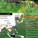 Indonesia: Lại thêm một con hổ Sumatra bị giết