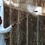 Hungary điều chế văcxin chống virus H5N1