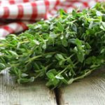 5 lợi ích sức khỏe của húng tây
