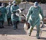 Diễn biến xấu về H5N1 ở châu Á và châu Âu