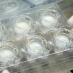 In 3D da nhân tạo – bước tiến mới cho ngành mỹ phẩm