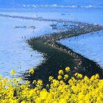 Kỳ thú hiện tượng “Biển chia đôi”