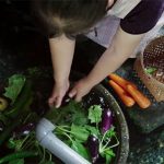 “Giải mã” hệ thống lọc nước bằng cá chép của người Nhật khiến cả thế giới thán phục